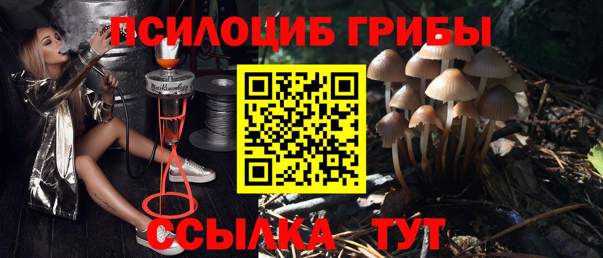 Галлюциногенные грибы Psilocybe  Галлюциногенные грибы Psilocybine cubensis  дарнет шоп  Вход с VPN  Тимашёвск 